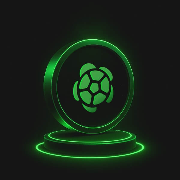 Turtle airdrop checker
